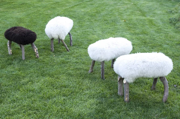 Petites chaises en bois recouvertes de peau de mouton de prairie — Photo