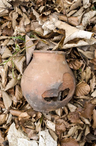 Old broken jar in dry autumn leaves