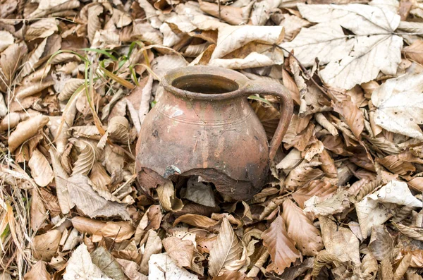Old broken jar in dry autumn leaves
