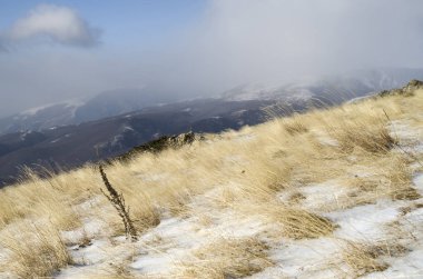 Sarı çim kar kış mountain, Bulgaria