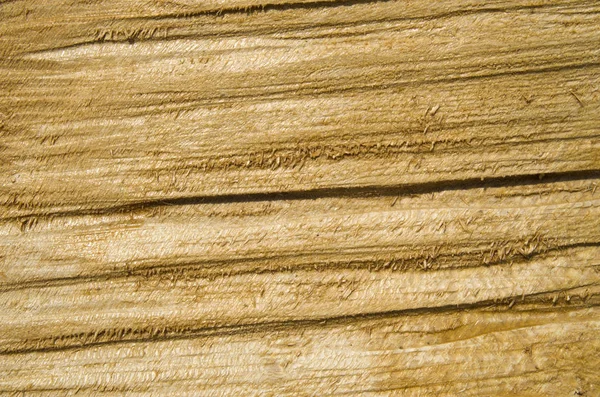 Ruwweg behandeld gelakt eiken plank closeup — Stockfoto