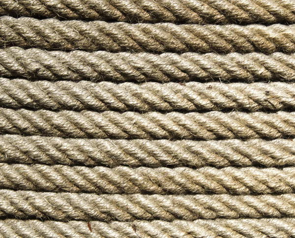 Yeni Ekru ip closeup güneşte