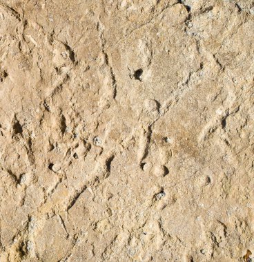 Plaj portre üzerinde turuncu kum taşı 