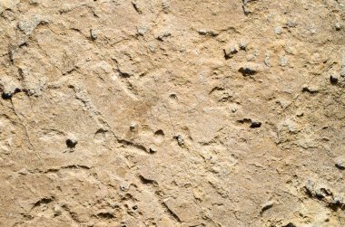 Plaj portre üzerinde turuncu kum taşı