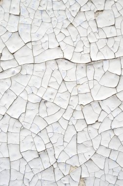 Bir duvara kırık beyaz boya 