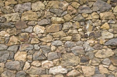 Eski renkli taş duvar portre  