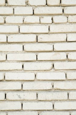 Yeni sarı tuğla duvar portre 