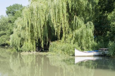 Kamchia nehir ve yalnız balıkçı teknesi, Bulgaristan