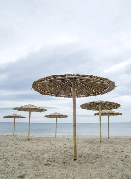 Veel riet parasols op het strand in bewolkte dag — Stockfoto