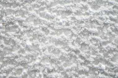 Kar ve buz dalgalar portre