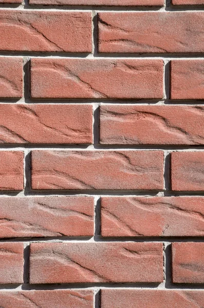 New colorful decorative brick wall — Stock Photo, Image