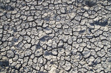 Çamur Kurutma kuraklık nedeniyle göl yatağı