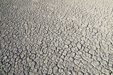 Çamur Kurutma kuraklık nedeniyle göl yatağı