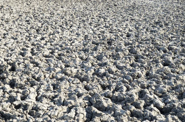 Mud of lake bed drying up due to drought