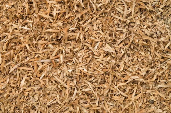 Background of  orange wood chips — Stock Photo, Image