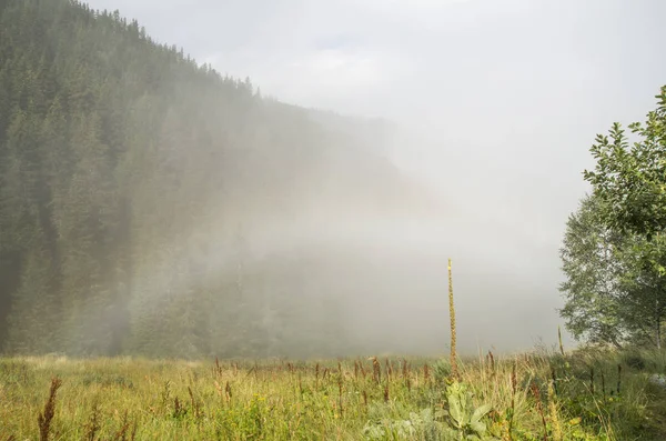 Evaporation after rain in the mountains and small rainbow — Stock Photo, Image