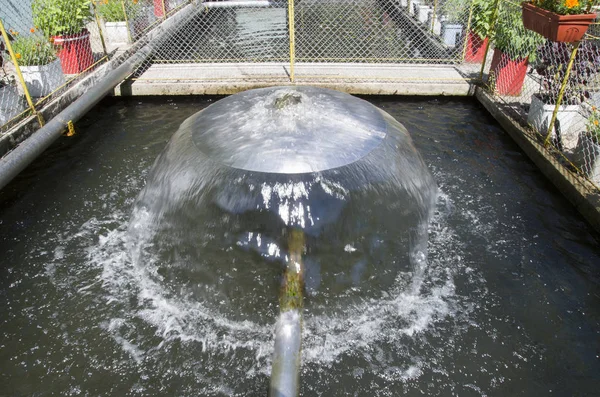 Um recurso de água na lagoa de peixes em dia ensolarado — Fotografia de Stock