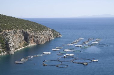 Yunanistan 'da deniz balığı çiftliği