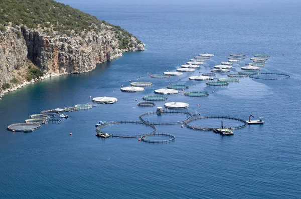 Морская рыбная ферма Греции — стоковое фото