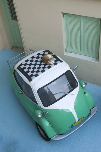 Припаркованные ретро машины с жёлтой кошкой на крыше — стоковое фото