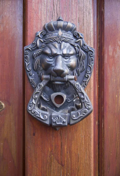 Ortaçağ Kapı Tokmağı Kapısında Bronz Aslan Kafası — Stok fotoğraf