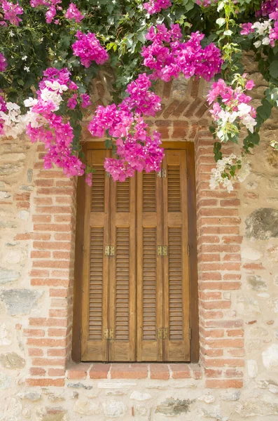 Окно Коричневыми Деревянными Ставнями Белыми Розовыми Бугаинвиллеями Греции Europ — стоковое фото