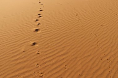 Kum dokusu - çöl kum tepelerinin arka planı. Kum tepelerinin güzel yapıları. Çölde rüzgardan gelen kumla - Yaklaş