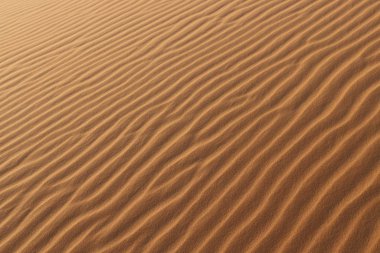 Kum dokusu - çöl kum tepelerinin arka planı. Kum tepelerinin güzel yapıları. Çölde rüzgardan gelen kumla - Yaklaş