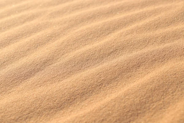 Kum Dokusu Çöl Kum Tepelerinin Arka Planı Kum Tepelerinin Güzel — Stok fotoğraf