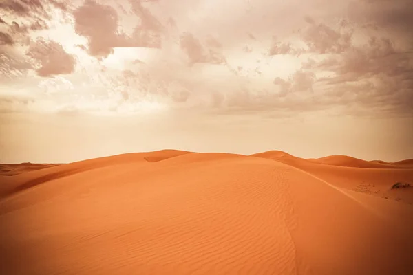 Piaszczysta Wydma Saudyjskiej Pustyni Piękna Pustynia Arabska — Zdjęcie stockowe