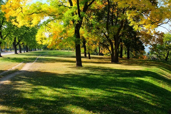 Öğlen güneşinde şehir parkı