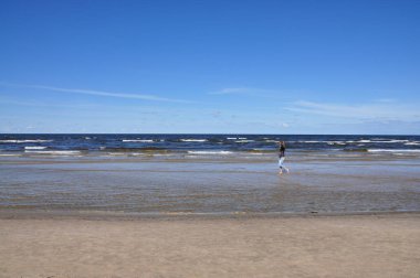 Baltık Denizi 'nin yaz manzarası