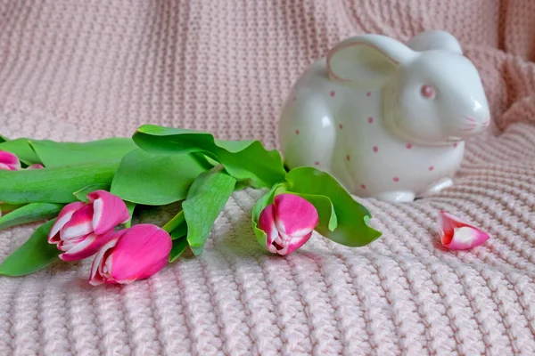  Yumuşak pembe renkli domuzcuk Paskalya tavşanı