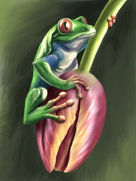 Beautiful Frog Digital Drawing — 스톡 사진