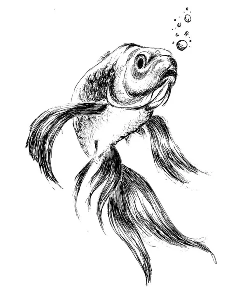 Pretty Fish Ink Drawing — 스톡 사진