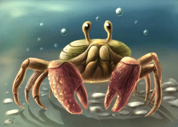 Hübsche Krabben Digitale Zeichnung — Stockfoto