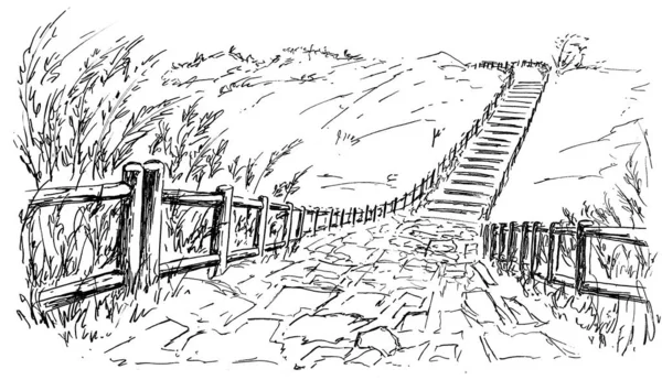 Road in the field ink drawing