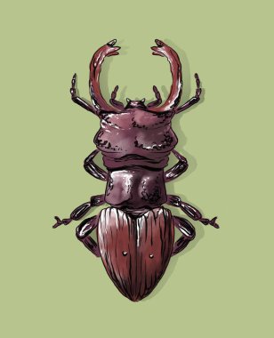 Geyik böceği dijital illüstrasyonu