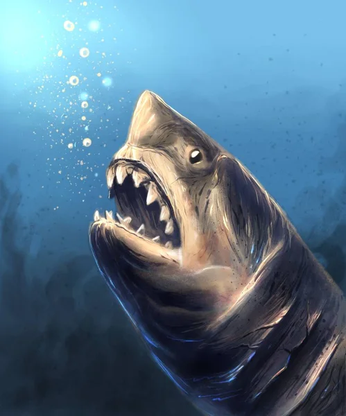 Ilustração Digital Tubarão Predador — Fotografia de Stock