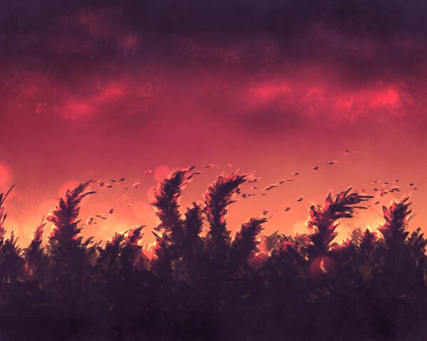 Grass at sunset digital illustration