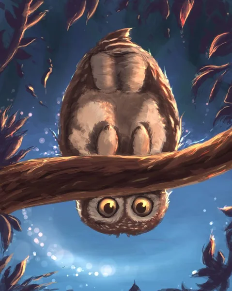 An owl in the night
