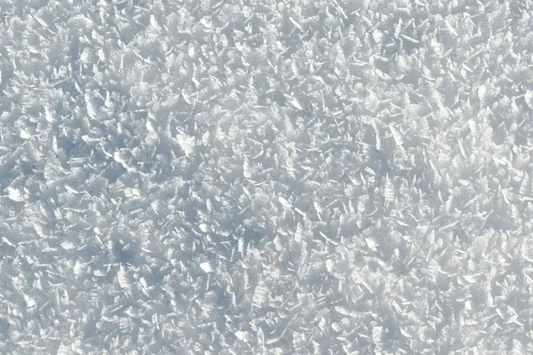 Snow Covered Extreme Close Snowy Ground Large Snow Crystals Sunny — Stock Photo, Image