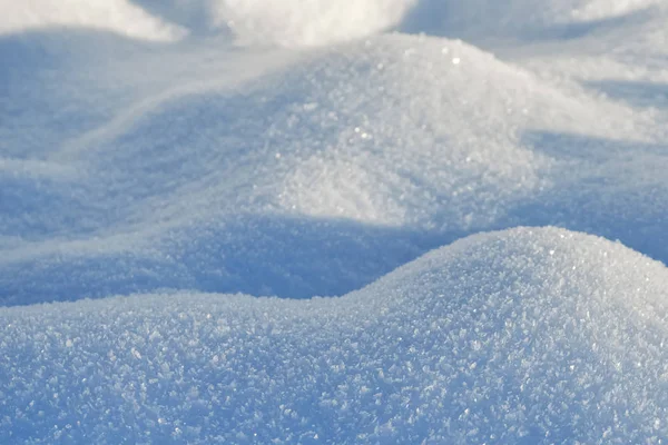 Snö Täckta Snöiga Lågväxande Växter Solig Vinterdag — Stockfoto