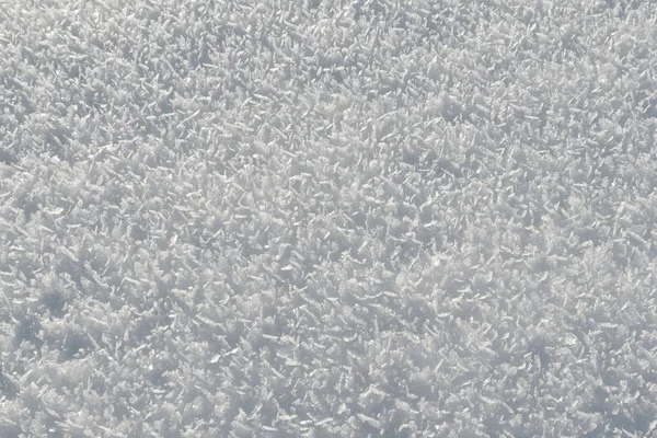 Snö Täckta Närbild Snöig Marken Ljus Vinterdag — Stockfoto