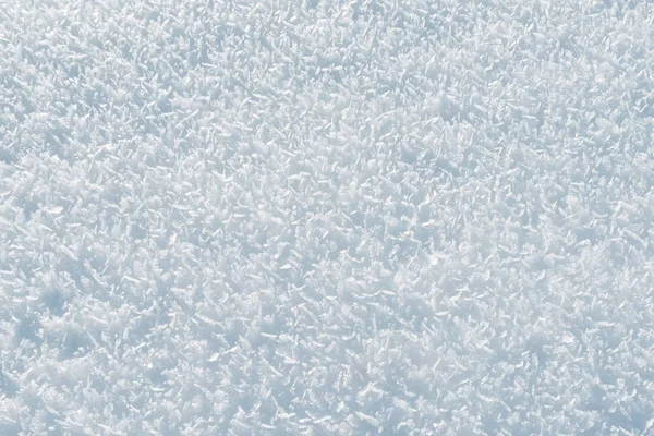 Sníh Kryté Zasněžené Zemi Světlé Zimní Den — Stock fotografie