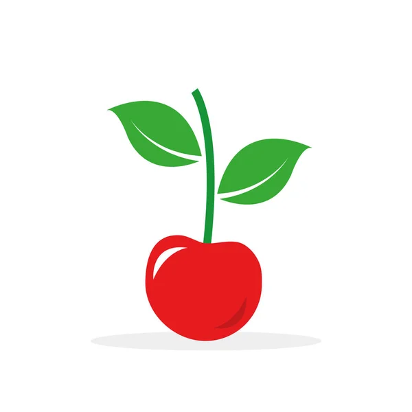 Вишневий солодкий стиглий червоний ягідний свіжий фрукт — стоковий вектор