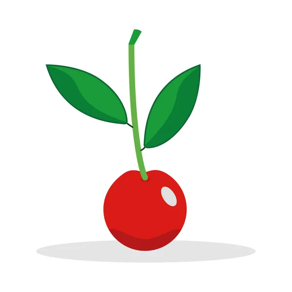 Cereza dulce madura baya roja fruta fresca — Archivo Imágenes Vectoriales