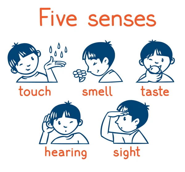 Five senses monochrome icon set — Stock Vector