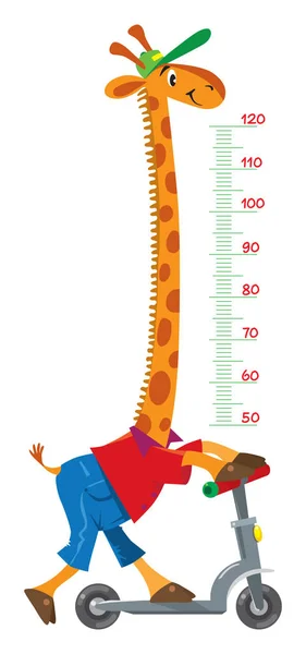 Giraffe auf Roller. Meterwand oder Höhendiagramm — Stockvektor