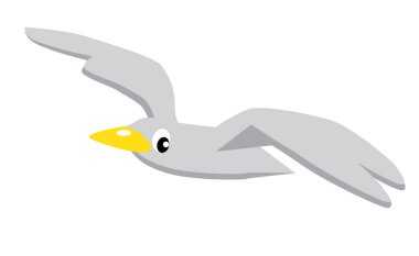 Sinek içinde komik martı